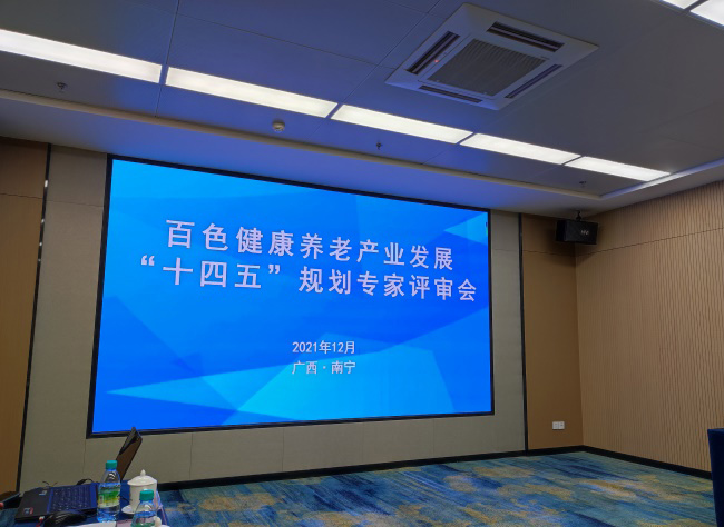 案例展示：百色康养产业发展规划