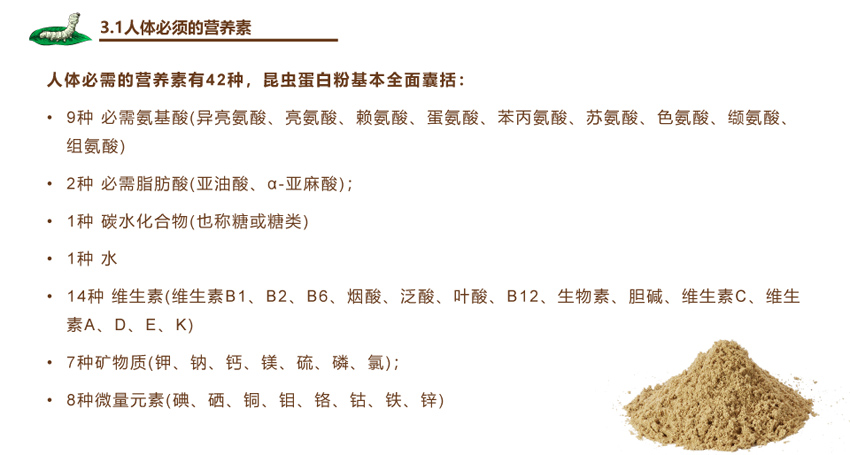 cz09.jpg